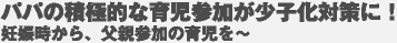 pp̐ϋɓIȈ玙Qq΍ɁI@DPAeQ̈玙`